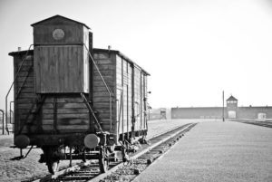 Auschwitz train